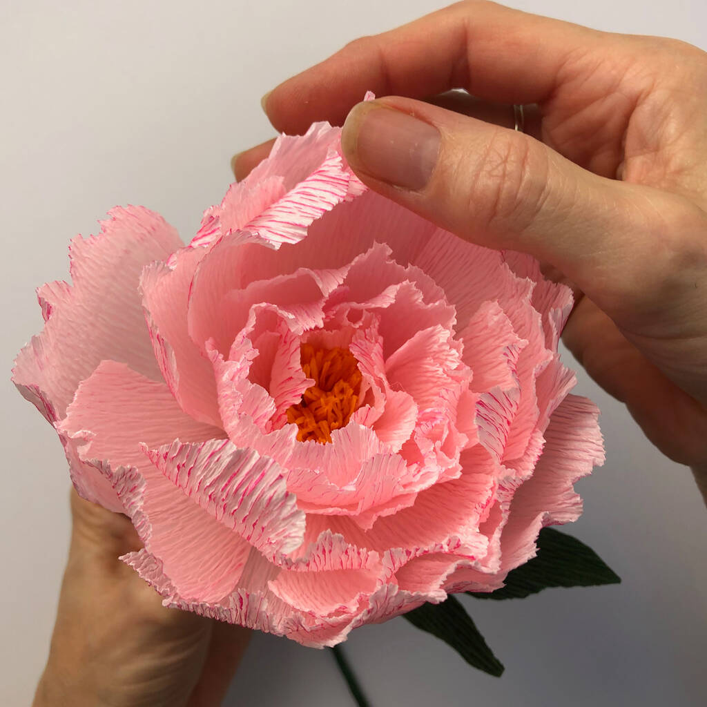 Crepe Peony Craft Kit, Paper Flower Making