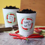 Personalised Chilli Plant Pot Gift For Him, thumbnail 3 of 4