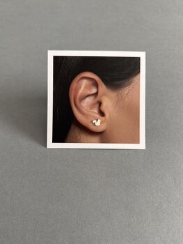 You Are Nuts Sterling Silver Squirrel Earrings, 7 of 9