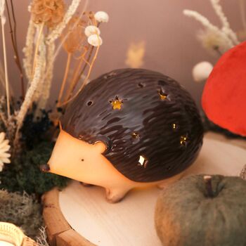 Ceramic Mr Prickles LED Hedgehog Light, 3 of 3