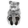 Personalised Baby Bear Footprint Kit, thumbnail 5 of 5