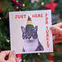 Christmas Pets Dogs And Cats Card Pack, thumbnail 6 of 9