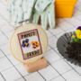 Pansy Cross Stitch Kit, thumbnail 1 of 3