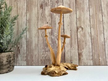 Wooden Mushroom Statue Teak Root Toadstool Nature Gift, 10 of 10