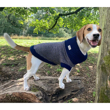 Monti Sustainable Dog Jumper, 7 of 9