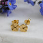 Tiny Forget Me Not Gold Vermeil Studs, thumbnail 1 of 12
