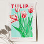 Tulip Flower Risograph Print, thumbnail 3 of 3