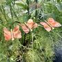 Three Copper Butterflies Garden Stakes, thumbnail 5 of 9