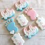 Gender Reveal Baby Shower Biscuits Set Of 12, thumbnail 3 of 5