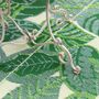 Palm Leaf Outdoor Rug, thumbnail 5 of 6