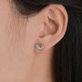 Nautilus Shell Stud Earrings In Sterling Silver, thumbnail 12 of 12