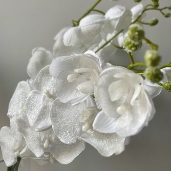 Artificial White Glitter Fabric Orchid Stem, 5 of 8