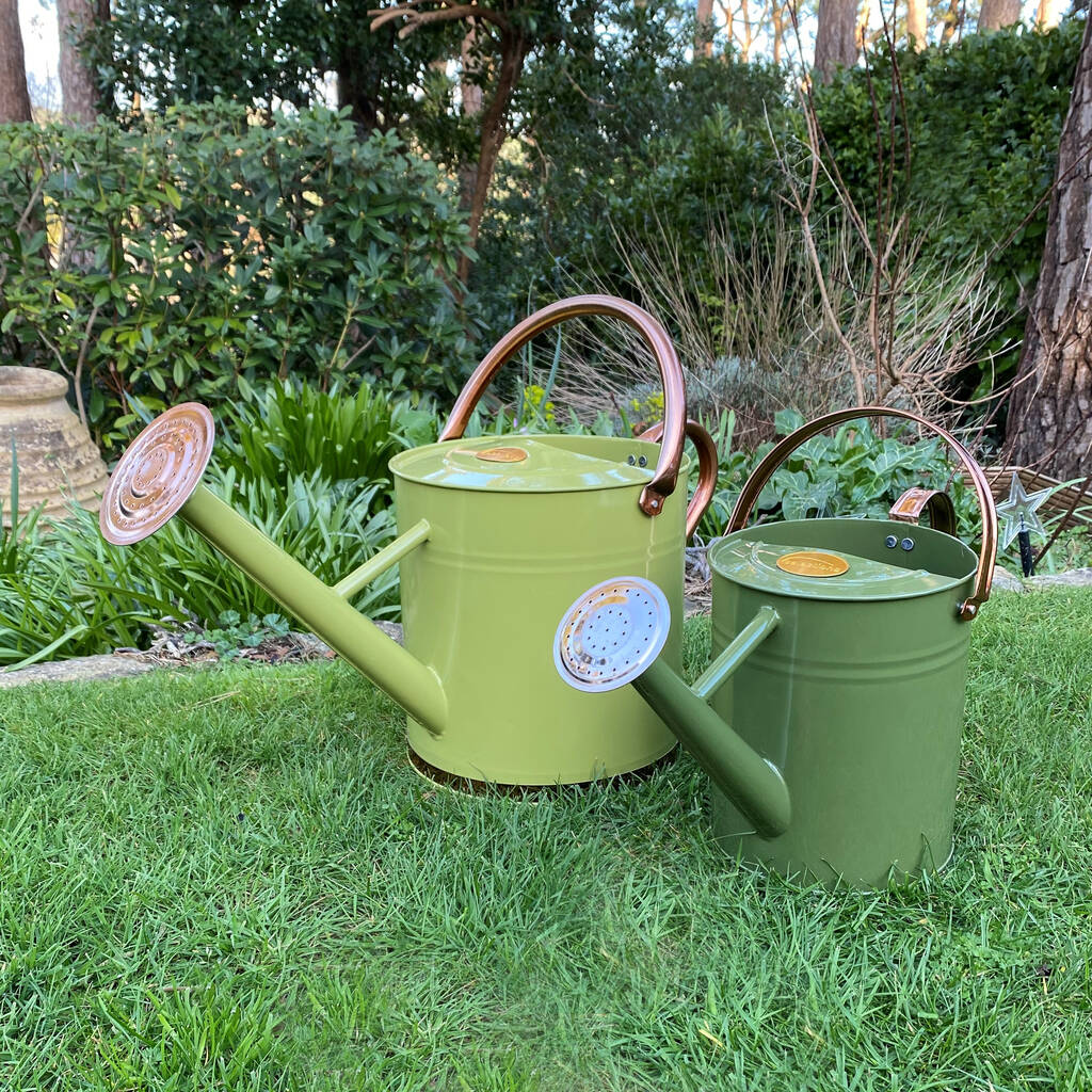 Lemon And Lime Green And Copper Trim Watering Can Duo, 1 of 9