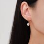Freshwater Pearl Drop Hook Earrings In Sterling Silver, thumbnail 6 of 10