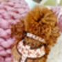 Vintage Bears Gingham Dog Harness With Optional Set, thumbnail 8 of 9
