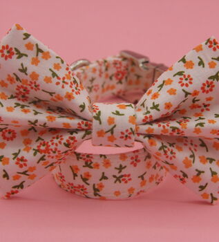 Orange Daisy Dog Bow Tie, 8 of 11