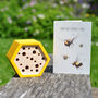 Father's Day Bee House Gift Set, thumbnail 1 of 6