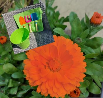Bucket And Belt Childrens Tool Gift Set, 3 of 6