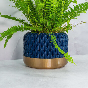 Midnight Ananas Planter, 4 of 4