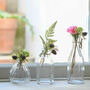 Retro Glass Flower Bud Vase Set Of Three, thumbnail 2 of 3
