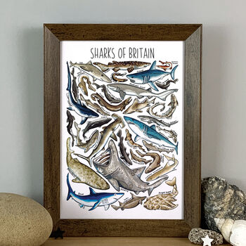 Sharks Of Britain Watercolour Postcard, 8 of 8
