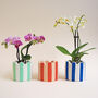 Small Stripy Scalloped Pot Choose Your Colours, thumbnail 4 of 11
