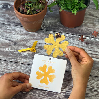 Plant A Flower Seed Paper Card, 2 of 6