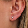 Sterling Silver Grey Freshwater Pearl Stud Earrings, thumbnail 1 of 4