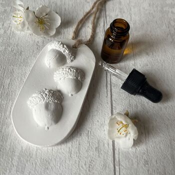 Acorn Car Air Freshener Gift Botanical Hanging, 3 of 4