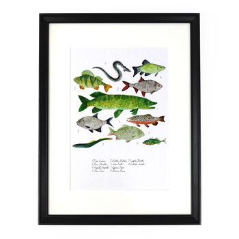 Flumens Freshwater Fish Art Print, 3 of 7