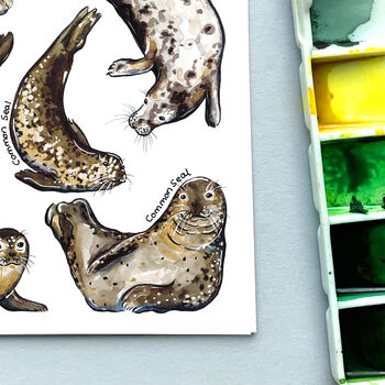 Seals Of Britain Watercolour Postcard, 6 of 9