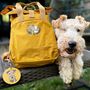Personalised Doggy Daycare New Puppy Gift Backpack, thumbnail 3 of 12