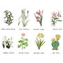Personalised Secret Message Floral Tea Towel For 80th Birthday, thumbnail 5 of 7