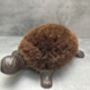 Cast Iron Tortoise Boot Scraper – Shoe Brush, thumbnail 3 of 12