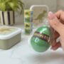 Dinosaur Gift Box For Kids – Lunch And Learn Set – Ideal For School And Birthdays, thumbnail 8 of 9