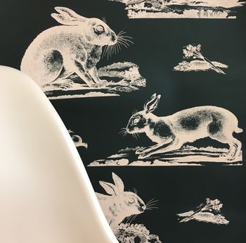 Rabbits Wallpaper, 8 of 8
