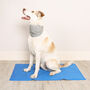 Blue Cooling Mat For Dogs, thumbnail 7 of 7