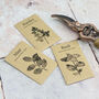 Personalised Flower Planter, thumbnail 6 of 8