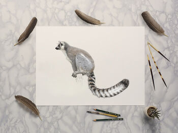 Ring Tailed Lemur Giclée Art Print, 2 of 3