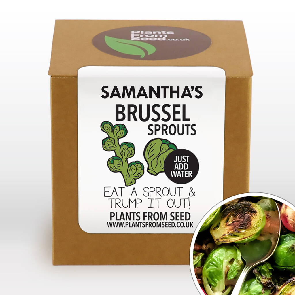 Complete Grow Your Own Brussel Sprouts Plant Kit By Plants From Seed