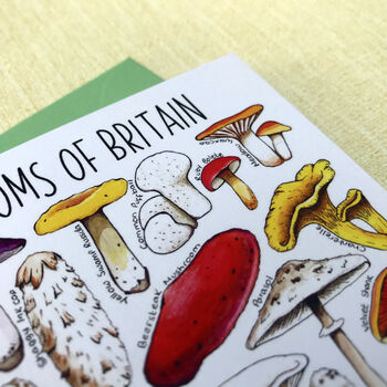 Mushrooms Of Britain Art Blank Greeting Card, 7 of 11