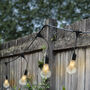 LED Indoor Outdoor Festoon Lights, thumbnail 1 of 3