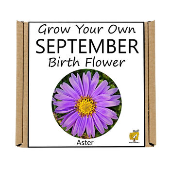 Unusual Birthday Gardening Gift. September Birth Flower, 3 of 3