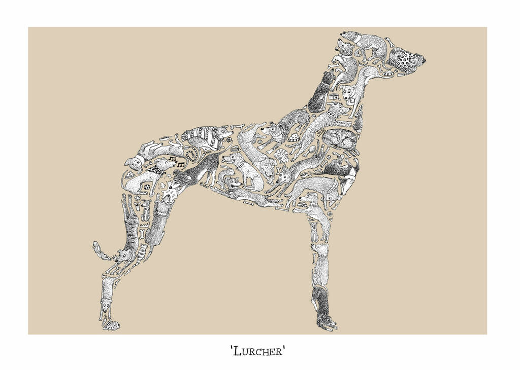 Lurcher Print By Louise Tate Illustration