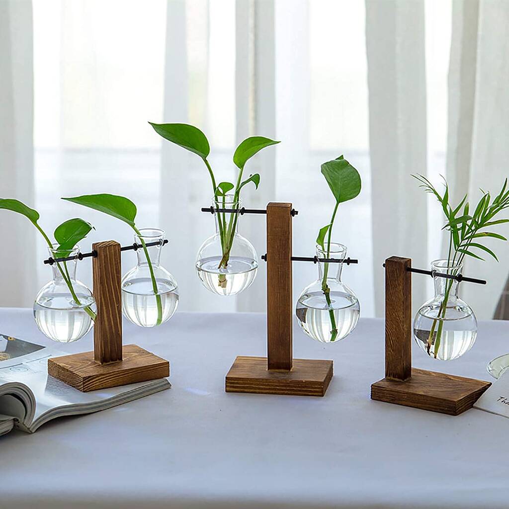 Five Glass Planter Bulb Vases With Retro Wooden Stand By Momentum