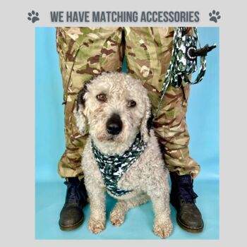 Camouflage Dog Collar Bow Tie, 5 of 6