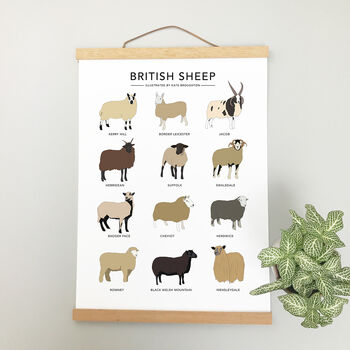 British Sheep Print, 2 of 3