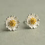 Sterling Silver Daisy Stud Earrings, thumbnail 1 of 5