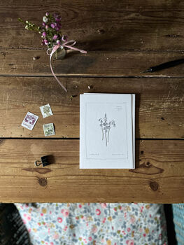 Hand Illustrated ‘Spring Flowers’ Notecard Set, 6 of 8