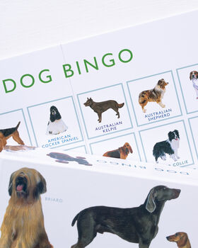 Dog Bingo, 3 of 7